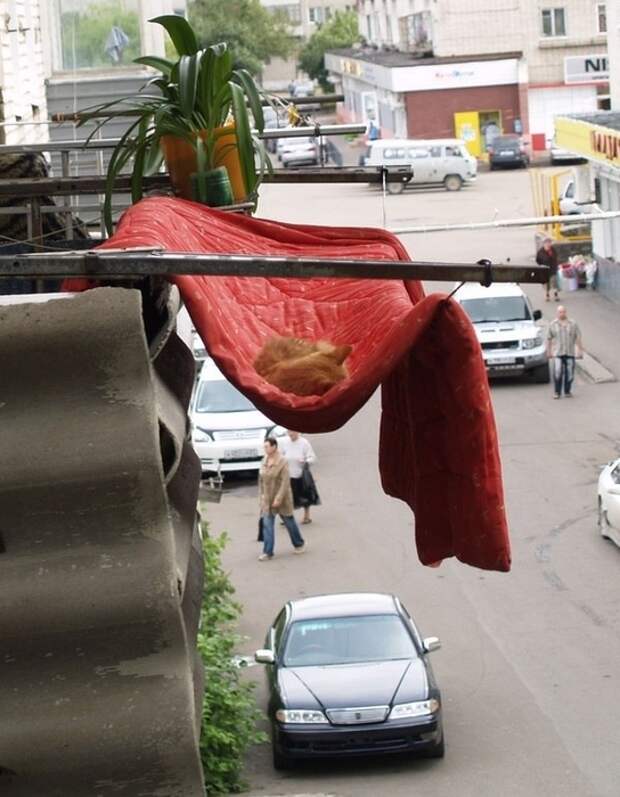 PXAFlaviGSg (544x700, 254Kb)