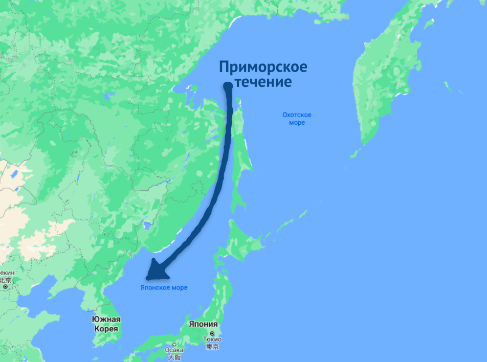 О таком проекте мало кто слышал, однако он способен принести несколько крайне интересных и полезных эффектов.-4