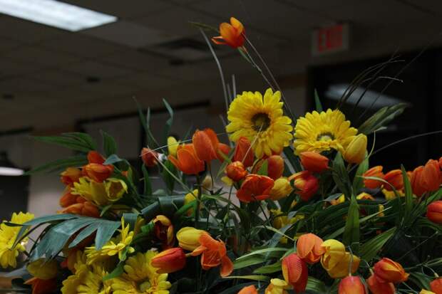 Россия отметит Праздник Весны и Труда с длинными выходными и душевными поздравлениями