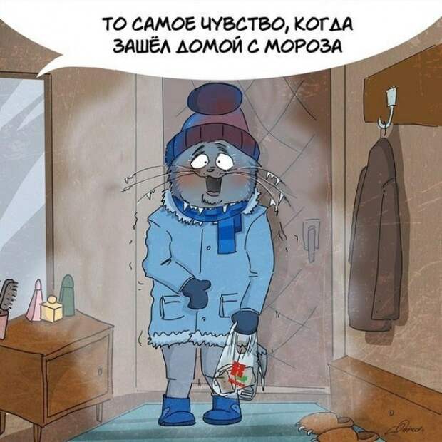 За что следует любить зиму (10 картинок) За что следует любить зиму (10 картинок)