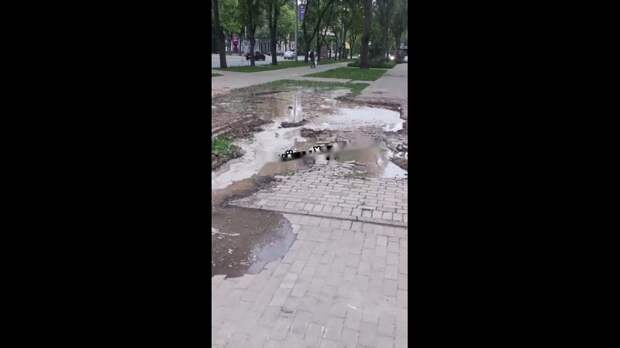 Video: com.bongasoft.addremovewatermark_IMG_2205.MOV