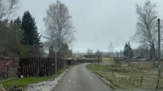 В Туле утром прошел небольшой снегопад