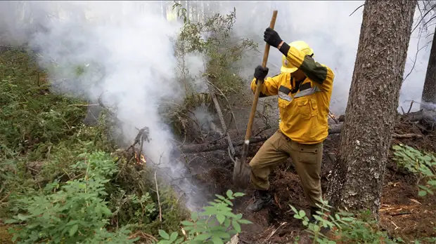 Когда земля горит под ногами: кто и как тушит пожары в Сибири