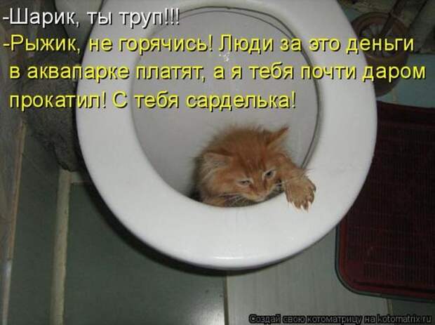 Мысли вслух :)