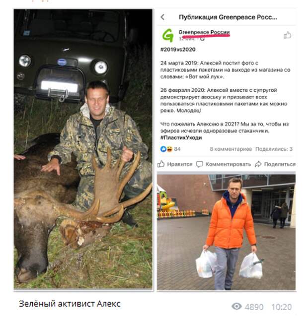 Марионетка западных магнатов «Гринпис» обнаружил в убийце Навальном зачатки «экоактивиста»