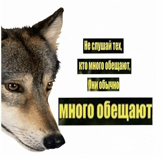 www.vsyako.net
