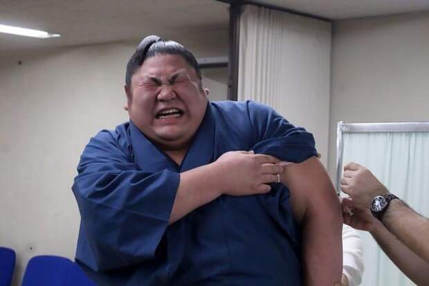 Представители Японской Ассоциаций Сумо надеются, что их борцы подвигнут людей на вакцинацию прививка, сумо