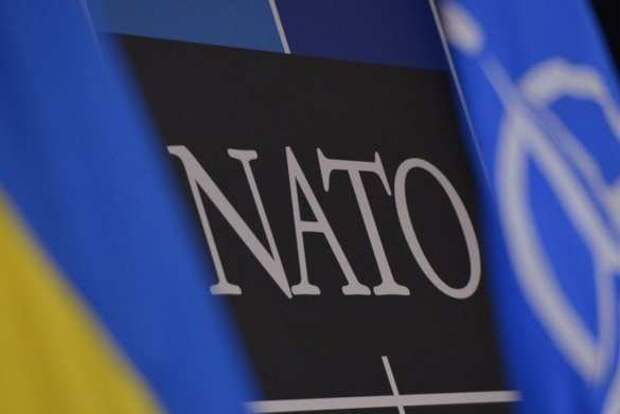 В НАТО не надо: в Германии поставили Украину на место | Русская весна