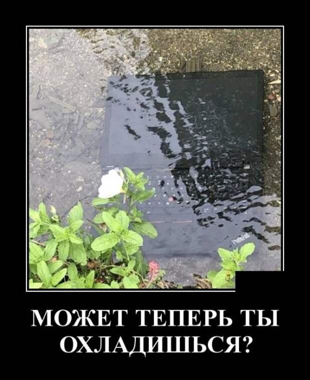 Демотиваторы