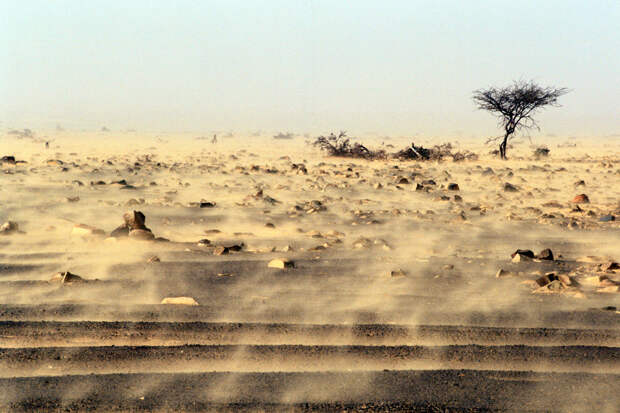 Опасность песчаной бури из Африки для России оценили