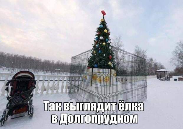 Прикольные картинки (15.12.16)