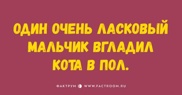 15 свеженьких анекдотов, которыми вы захотите поделиться с друзьями