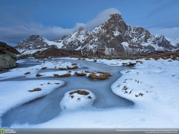 2016-national-geographic-nature-photographer-of-the-year-winners-6-584fb790bf02f__880