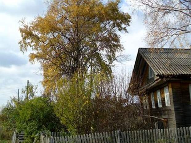 Еду, Еду В Родные Пенаты...
