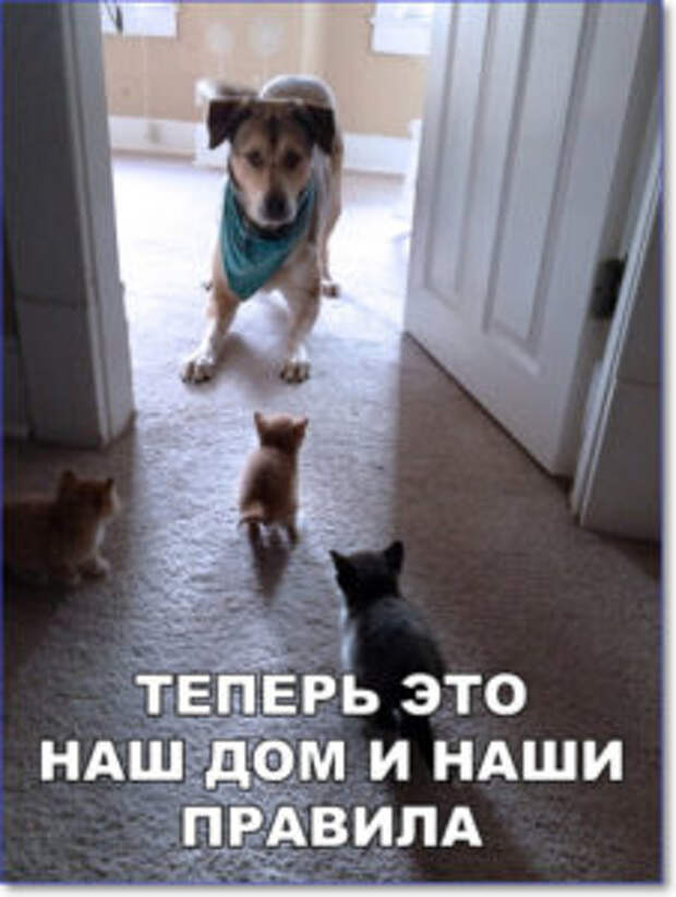 Убойные фотоприколы с надписями