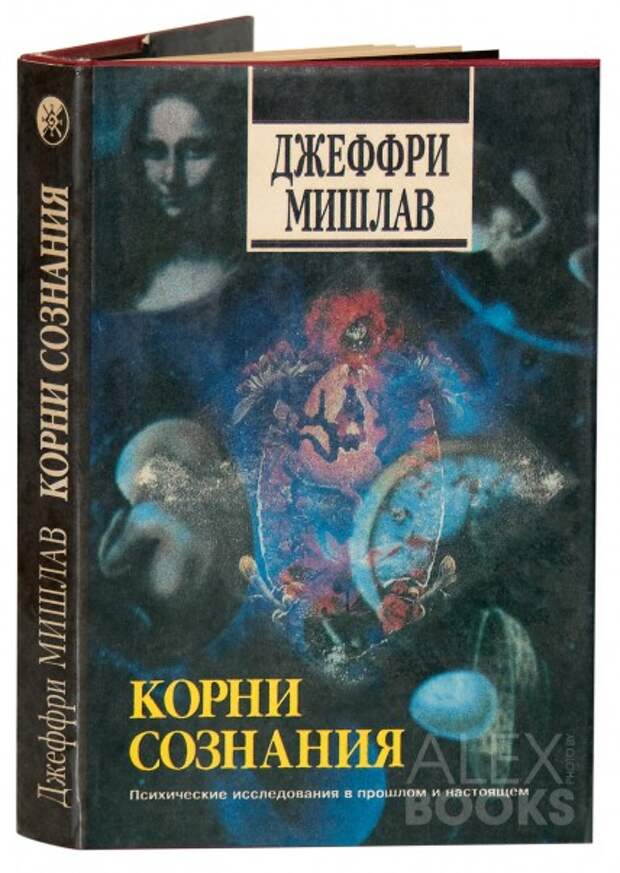 Image result for Джеффри Мишлав – Корни сознания.