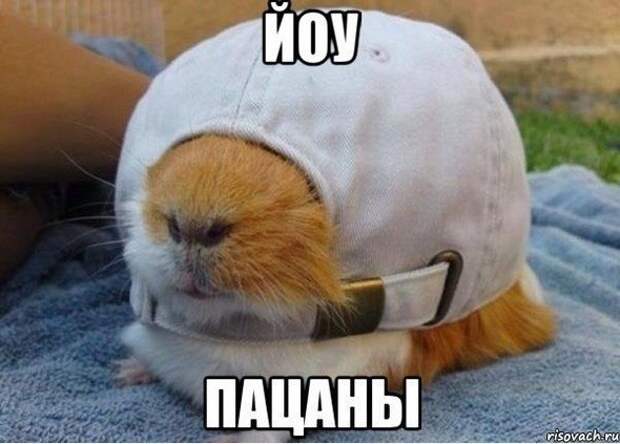 Всяко - разно 27 ))) Всяко - разно 27 )))