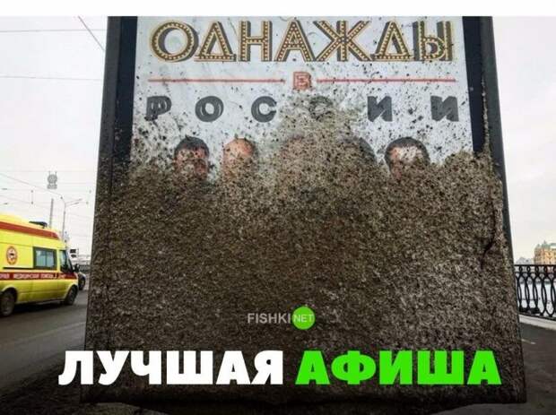 Лучшая афиша Лучшая афиша авто, автомобили, автоприкол, автоприколы, подборка, прикол, приколы, юмор