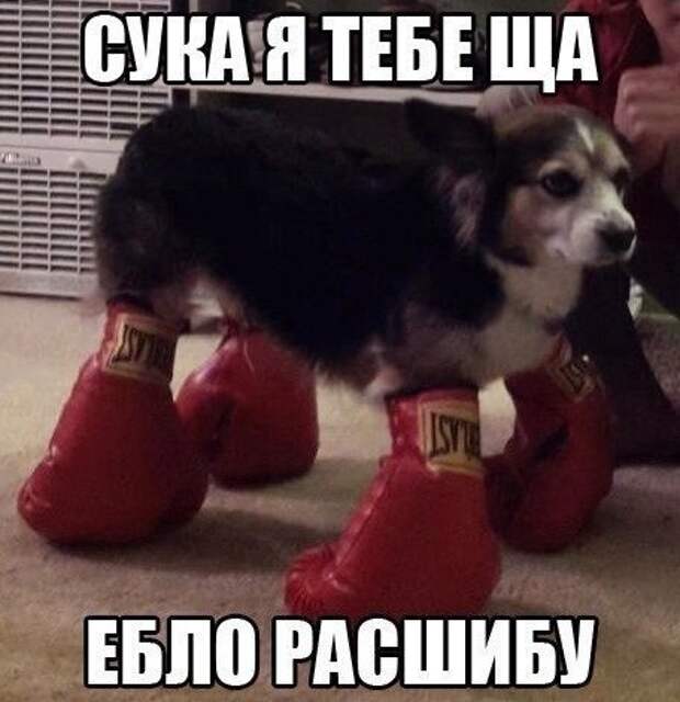 l8KOjN0naGI