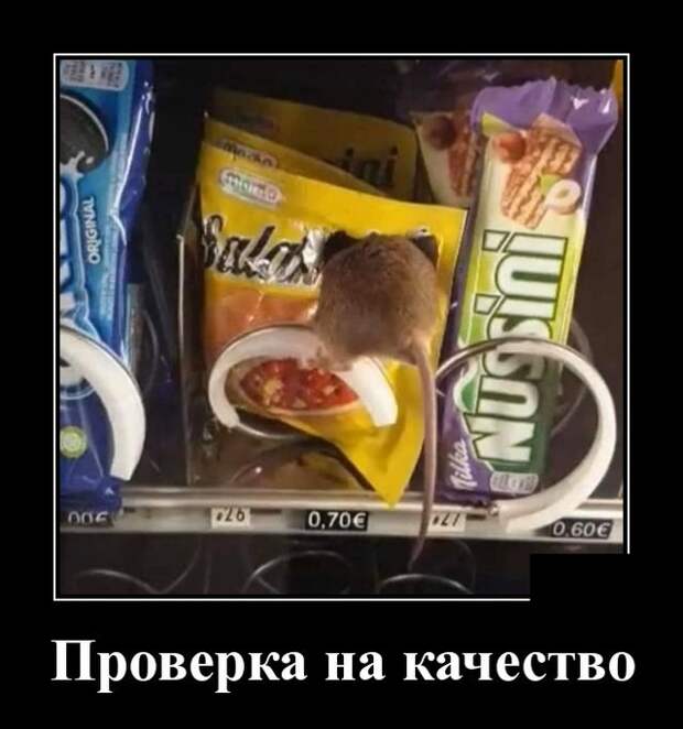 Демотиваторы (20 фото)