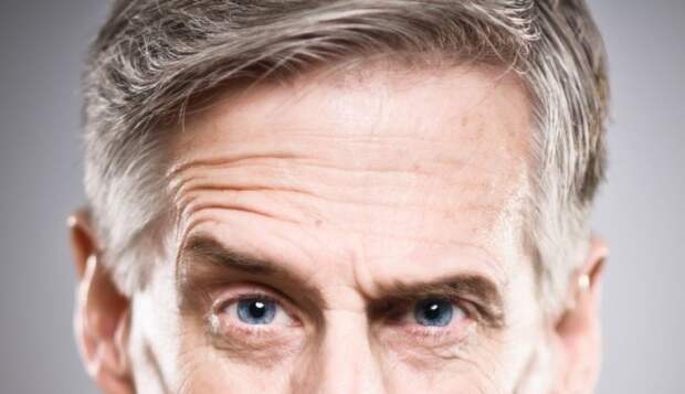 «Висит на деревьях»: жителей Хельсинки напугало странное вещество