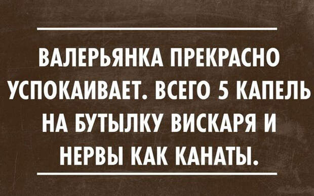 Фразы и мысли в картинках. Хорошего настроения! 