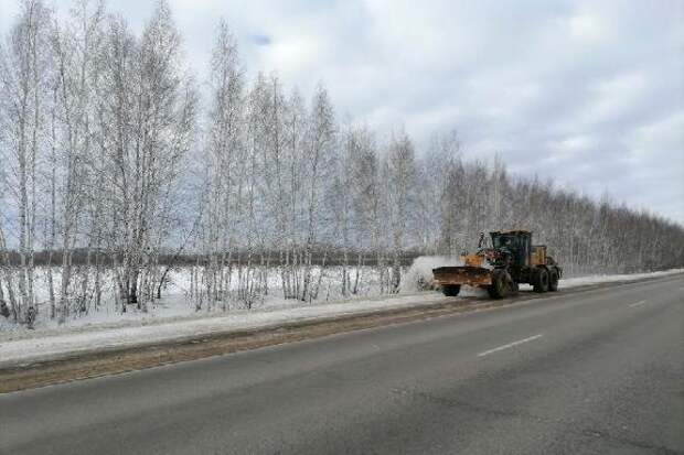 В Тамбовской области ожидается метель и мокрый снег с дождём