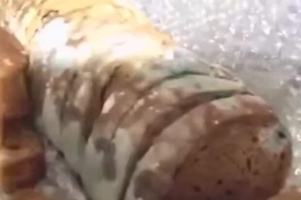 Бойцы ВСУ на передовой получили хлеб с плесенью