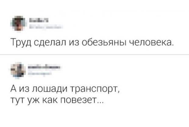 Остроумие как принцип жизни :-)