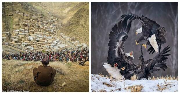 Завораживающие снимки финалистов конкурса Sony World Photography Awards 2019 Завораживающие снимки финалистов конкурса Sony World Photography Awards 2019