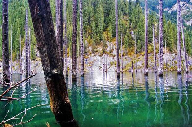 Затопленный лес озера Каинды, Кайнды, (Lake Kaindy), Казахстан