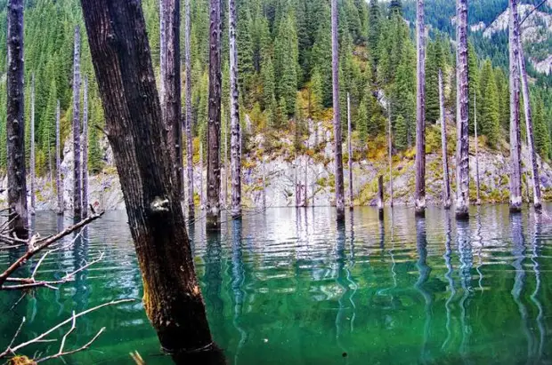 Затопленный лес озера Каинды, Кайнды, (Lake Kaindy), Казахстан