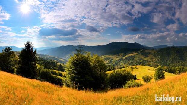 Реальная красота (60 фото)