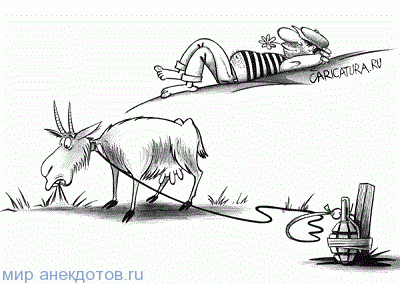 Анекдоты про Козу