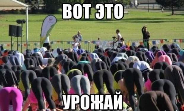 Клуб любителей юмора.
