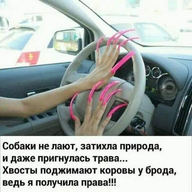 Подборка убойных картинок и мемов