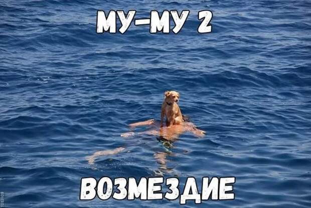 Прикольные свежие картинки с надписями (среда)