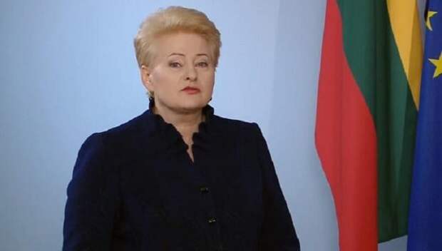 В Калининграде отреагировали на планы Литвы отгородиться от РФ стеной - предложили поставлять кирпичи