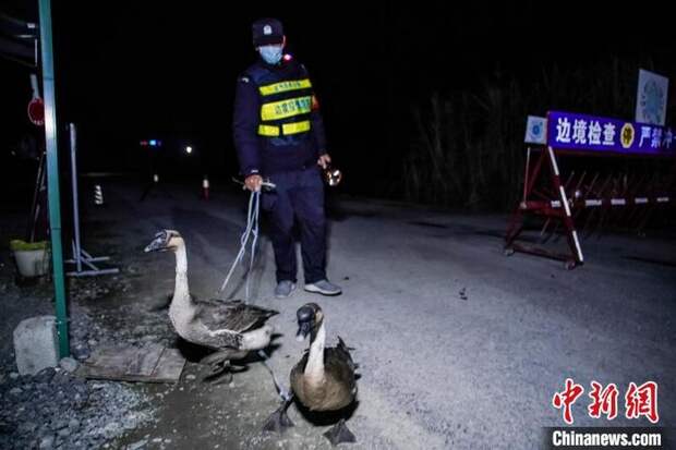 Фото: China News Фото: China News