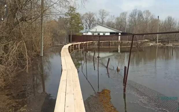 В Борках установили деревянные мостки для пешеходов