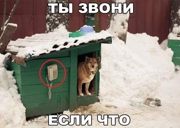 Алкопост Алкопост