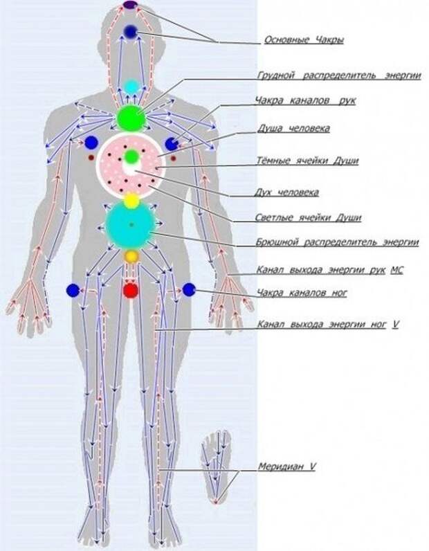 Чакры ног. Энергетические меридианы человека схема. Энергетические точки на теле человека чакры. Энергетические точки на теле человека схема. Энергетические меридианы чакр человека.