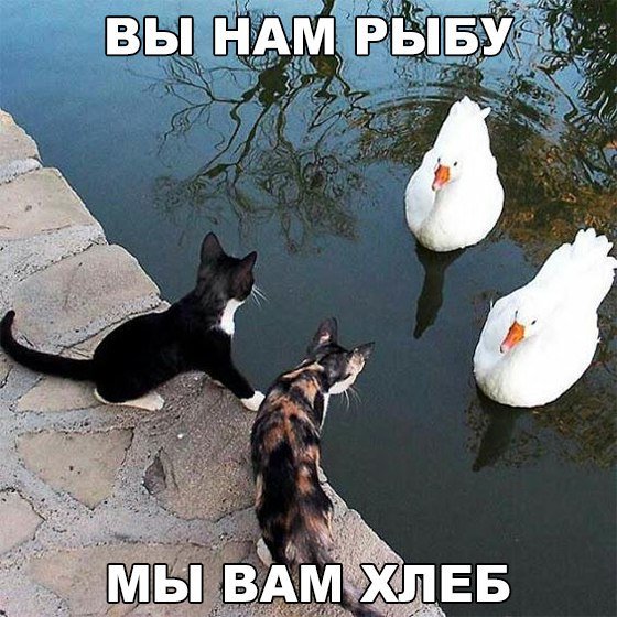 ПОЗИТИВНЫЙ ПОСТ+ 195