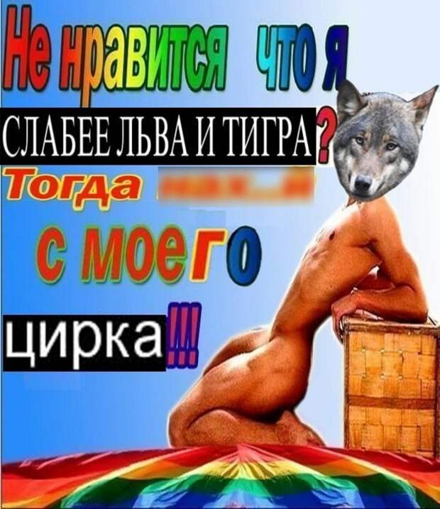 www.vsyako.net