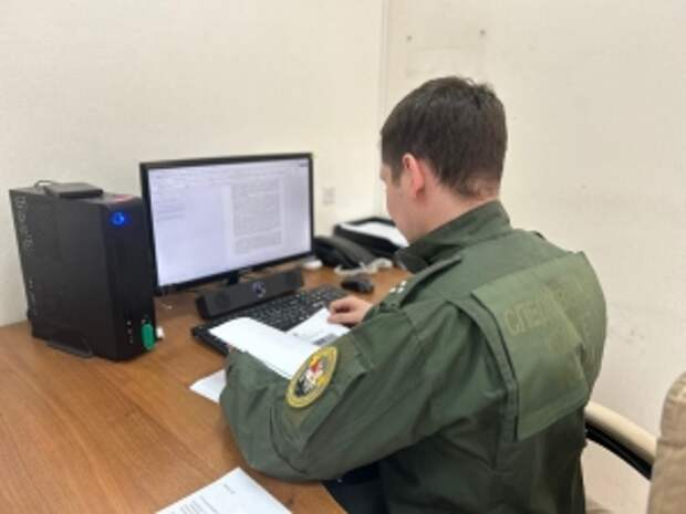 Глава СК России запросил доклад о расследовании обстоятельств нападения безнадзорных собак на детей в Кемеровской области - Кузбассе