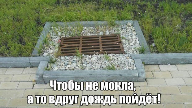Подборка картинок. Вечерний выпуск (52 фото)