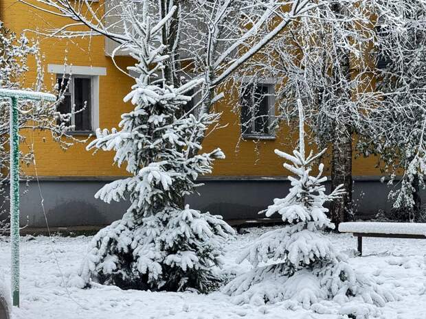 Мокрый снег с дождем в Тульской области может идти до 30 апреля