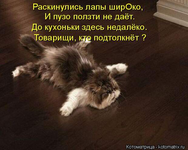 Котоматрица: Раскинулись лапы ширОко, И пузо ползти не даёт. До кухоньки здесь недалёко. Товарищи, кто подтолкнёт ?