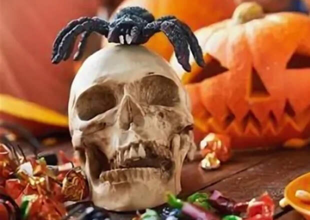 Жители России потеряли интерес к товарам для Хеллоуина Жители России потеряли интерес к товарам для Хеллоуина