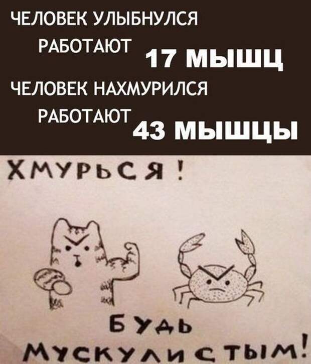 Алкопост Алкопост